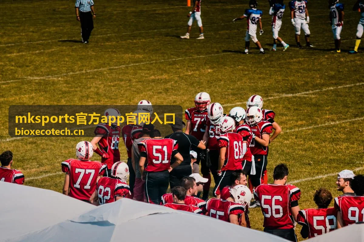 mksports官方app官网入口会员可见的版本更新说明内容封面