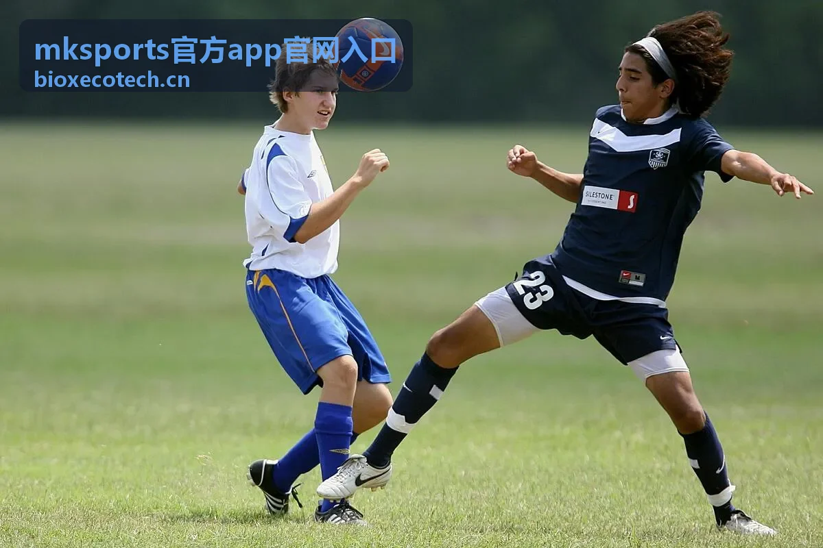 mksports官方app官网入口资讯：三项数据指标入门说明